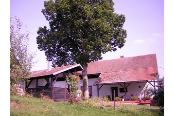 Počitniška hiša Čestice 6